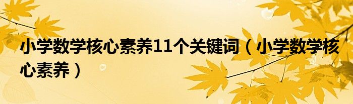 小学数学核心素养11个关键词（小学数学核心素养）