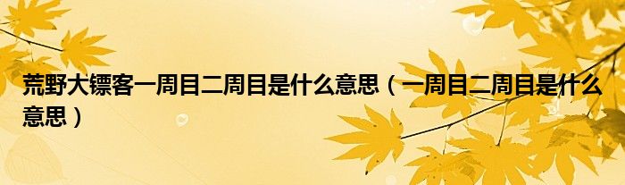 荒野大镖客一周目二周目是什么意思（一周目二周目是什么意思）