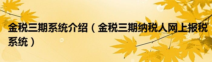 金税三期系统介绍（金税三期纳税人网上报税系统）