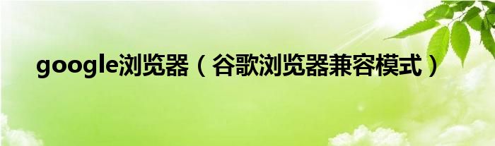 google浏览器（谷歌浏览器兼容模式）