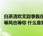 白茶清欢无别事我在等风也等你意思（白茶清欢无别事 我在等风也等你 什么意思）