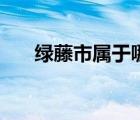 绿藤市属于哪个省（绿藤市是哪个省）