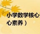 小学数学核心素养11个关键词（小学数学核心素养）