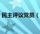 民主评议党员（说一说民主评议党员的简介）