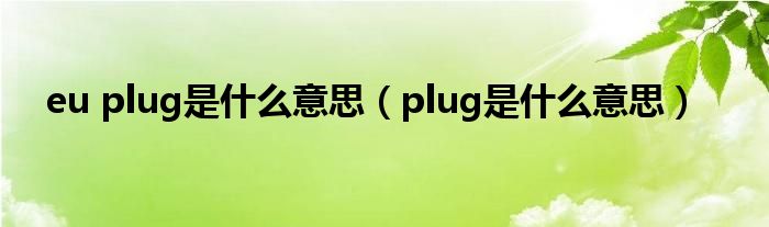 eu plug是什么意思（plug是什么意思）