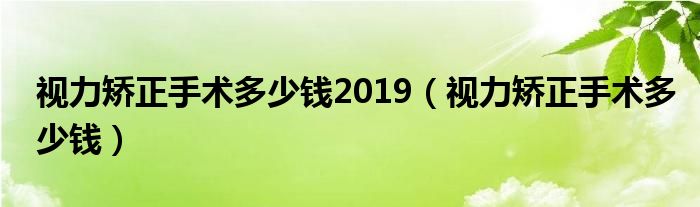 视力矫正手术多少钱2019（视力矫正手术多少钱）