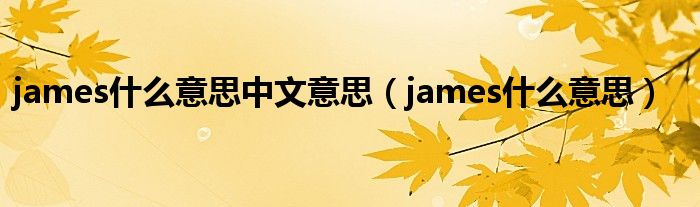 james什么意思中文意思（james什么意思）