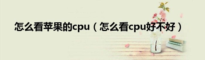 怎么看苹果的cpu（怎么看cpu好不好）