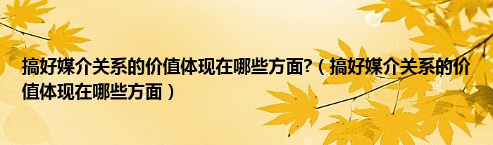 搞好媒介关系的价值体现在哪些方面?（搞好媒介关系的价值体现在哪些方面）