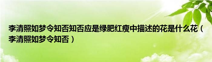 李清照如梦令知否知否应是绿肥红瘦中描述的花是什么花（李清照如梦令知否）