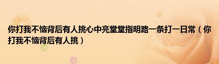 你打我不恼背后有人挑心中亮堂堂指明路一条打一日常（你打我不恼背后有人挑）