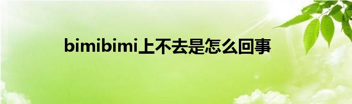 bimibimi上不去是怎么回事