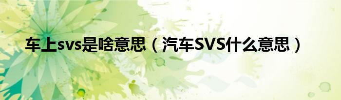 车上svs是啥意思（汽车SVS什么意思）