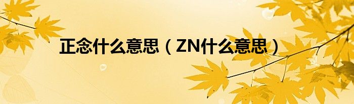 正念什么意思（ZN什么意思）