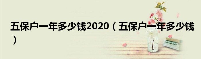 五保户一年多少钱2020（五保户一年多少钱）