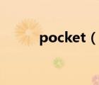 pocket（说一说pocket的简介）