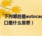 下列哪些是autocad中命令调用的方法（AUTOCAD中的视口是什么意思）