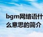 bgm网络语什么意思（说一说bgm网络语什么意思的简介）