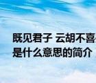 既见君子 云胡不喜是什么意思（说一说既见君子 云胡不喜是什么意思的简介）