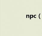 npc（说一说npc的简介）