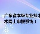 广东省本级专业技术人才职称管理系统（广东省本级专业技术网上申报系统）