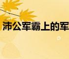 沛公军霸上的军词类活用（沛公军霸上的军）