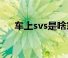 车上svs是啥意思（汽车SVS什么意思）