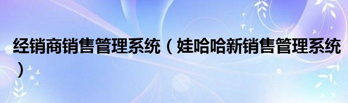 经销商销售管理系统（娃哈哈新销售管理系统）