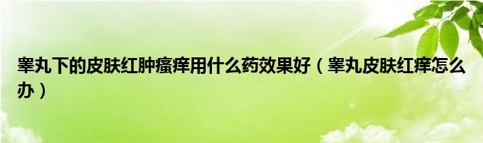 睾丸下的皮肤红肿瘙痒用什么药效果好（睾丸皮肤红痒怎么办）