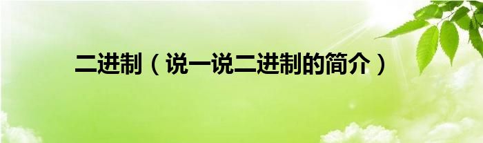 二进制（说一说二进制的简介）