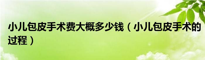 小儿包皮手术费大概多少钱（小儿包皮手术的过程）