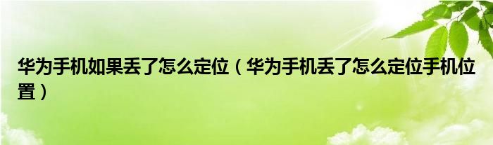 华为手机如果丢了怎么定位（华为手机丢了怎么定位手机位置）