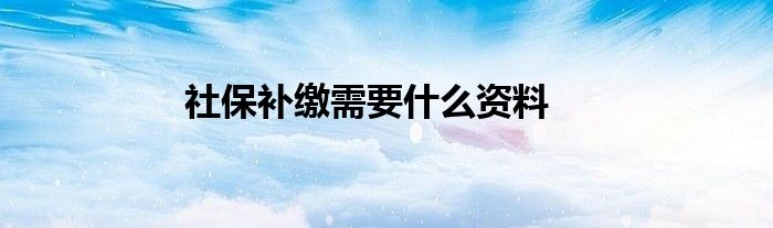 社保补缴需要什么资料