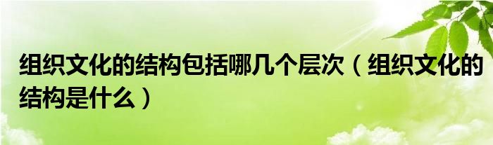 组织文化的结构包括哪几个层次（组织文化的结构是什么）