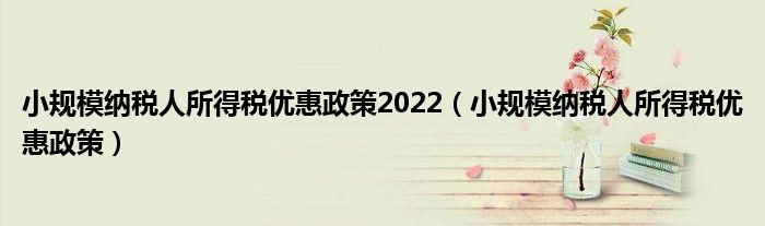 小规模纳税人所得税优惠政策2022（小规模纳税人所得税优惠政策）