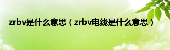 zrbv是什么意思（zrbv电线是什么意思）