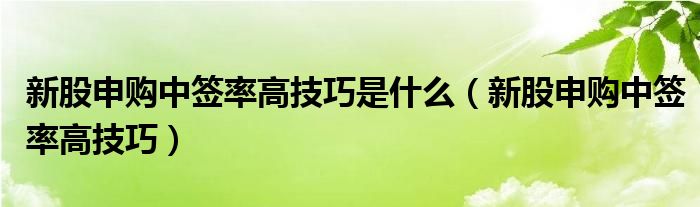 新股申购中签率高技巧是什么（新股申购中签率高技巧）