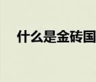 什么是金砖国家会议（什么是金砖国家）