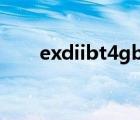 exdiibt4gb是什么意思（exdiibt4）