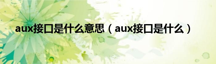 aux接口是什么意思（aux接口是什么）