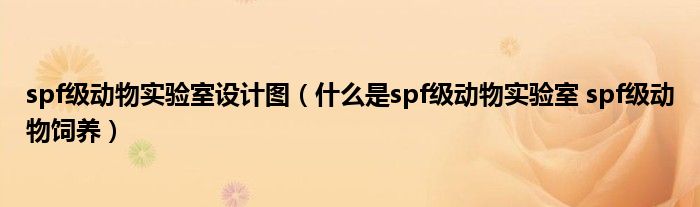 spf级动物实验室设计图（什么是spf级动物实验室 spf级动物饲养）