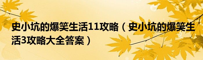 史小坑的爆笑生活11攻略（史小坑的爆笑生活3攻略大全答案）