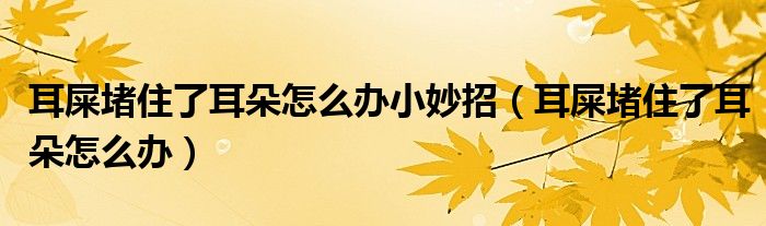 耳屎堵住了耳朵怎么办小妙招（耳屎堵住了耳朵怎么办）