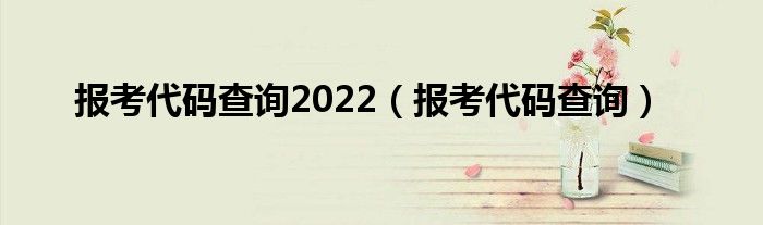 报考代码查询2022（报考代码查询）