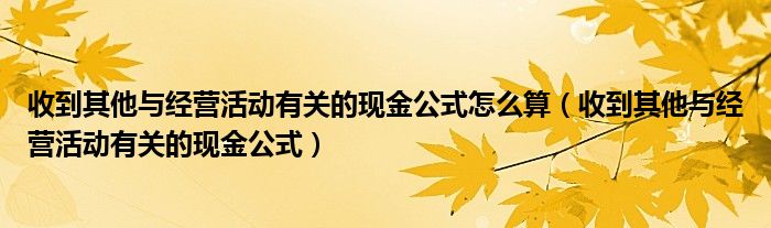 收到其他与经营活动有关的现金公式怎么算（收到其他与经营活动有关的现金公式）