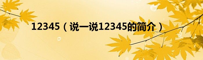 12345（说一说12345的简介）