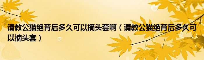 请教公猫绝育后多久可以摘头套啊（请教公猫绝育后多久可以摘头套）