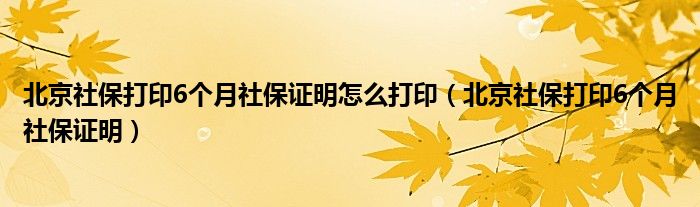 北京社保打印6个月社保证明怎么打印（北京社保打印6个月社保证明）