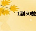 1到50数字表格（1到50数字）