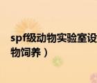 spf级动物实验室设计图（什么是spf级动物实验室 spf级动物饲养）